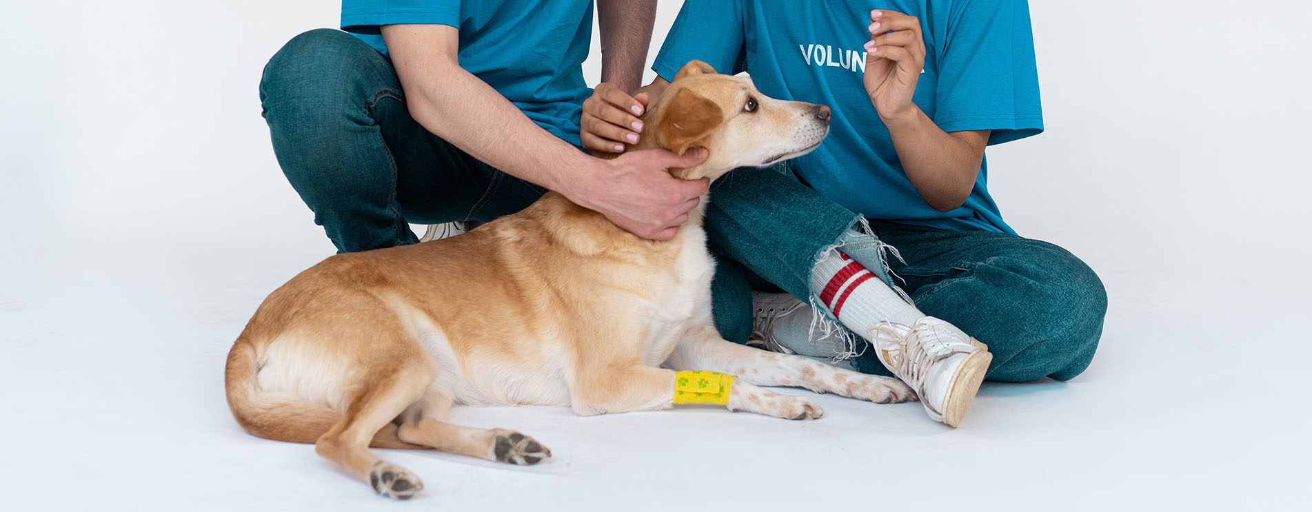 Bahçelievler Veteriner Kliniği